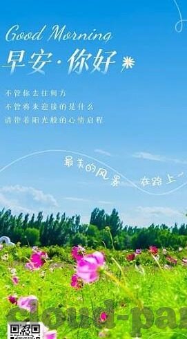竞猜足球比分让球-解锁竞猜足球比分让球，策略、技巧与风险全解析